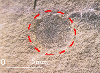 Stromatoliti (2)