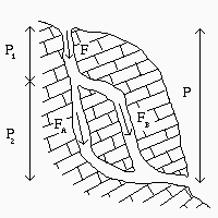 Conservazione del flusso