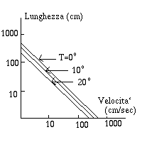 Scallops: diagramma velocita`-lunghezza