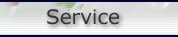 Service