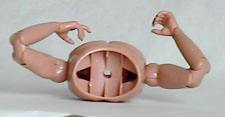 /user/chestbot2i.JPG