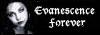 Evanescence Forever