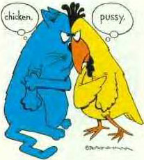 Chicken, Pussy