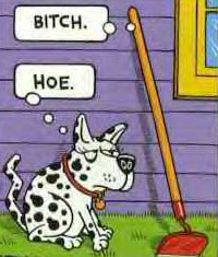 Bit@h, Hoe