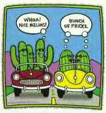 Melons, Prick