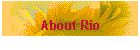 About Rio