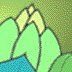 is an ongoing flowering...
