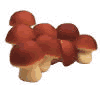  click for recipes