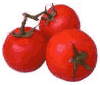 click for recipes