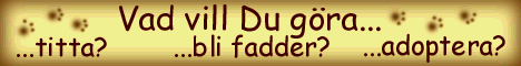 Animerade datadjur!
