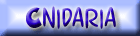 Hydralar, Denizanalar�, Mercanlar