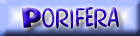 S�ngerler