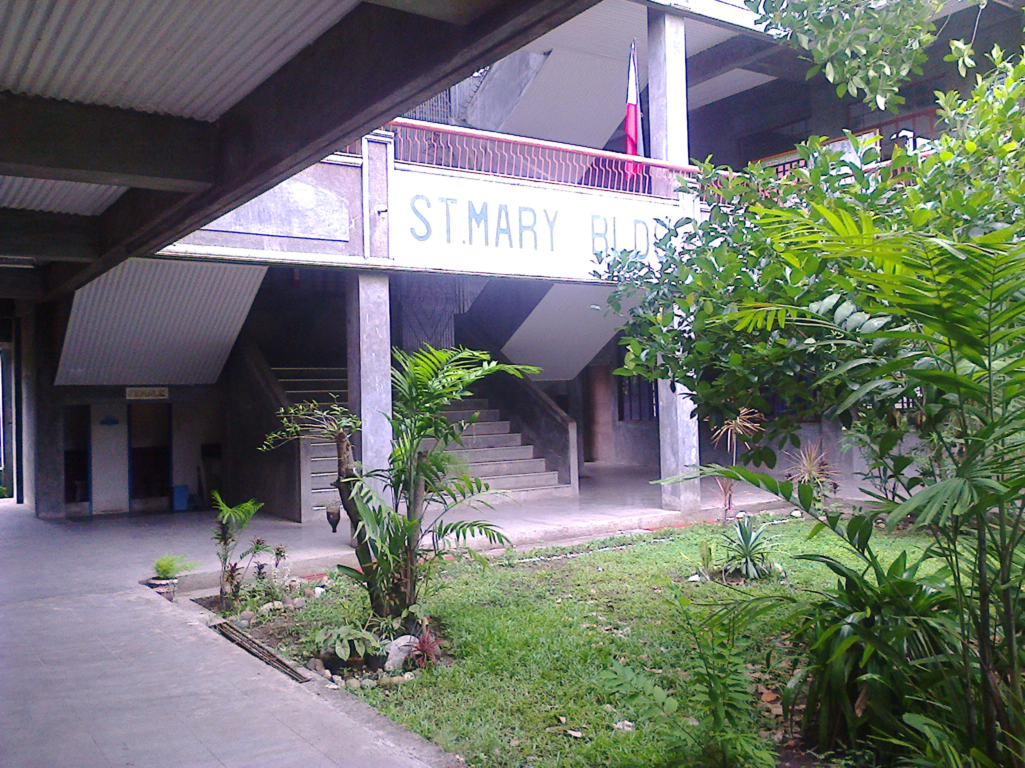 sm11