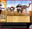 About Rajasthan