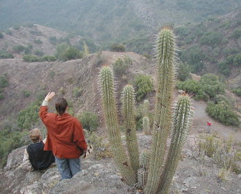 Waving from near the top of the ridge