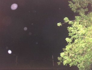 This picture is the same picture as above but it has been lightened a bit.