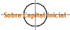 Sobre Capital Inicial