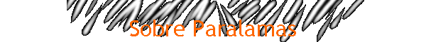 Sobre Paralamas