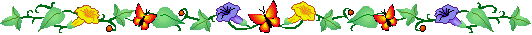 barra_44.gif (12186 bytes)