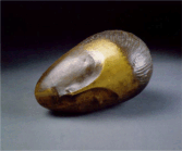 brancusi_musa.gif (13305 bytes)