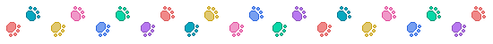 barra_25.gif (2709 bytes)