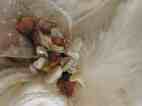 DSCN9323 (20K)