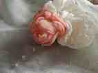 DSCN9424 (20K)