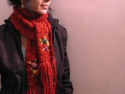Dscn8271 (28K)