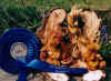 nominatie hennef'01.jpg (28612 bytes)