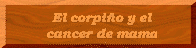 El corpi�o y el cancer de mama