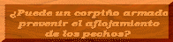 �Puede un corpi�o armado prevenir el aflojamiento de los pechos?