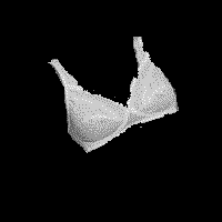 nobra.gif (5046 bytes)
