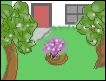 Backyards