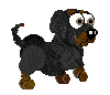 dachsund