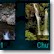Le Royaume des Wallpapers