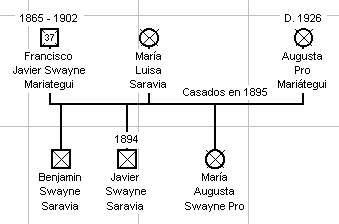 SwayneSaraviaPro.jpg - 13707 Bytes