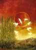 "Danza del Amanecer", Oleo, ver ampliaci�n.