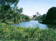Maribyrnong River Avondale Heights