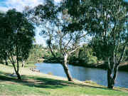 Maribyrnong River, Canning Reserve Avondale Heights