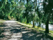 Maribyrnong River path Avondale Heights