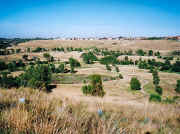 Steele Creek Reserve Avondale Heights