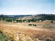 Steele Creek Reserve, Avondale Heights