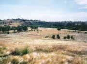 Steele Creek Reserve Avondale Heights