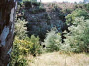 River bank at Brimbank Park