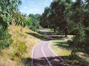 Brimbank Park riverside path