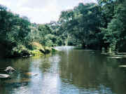 Looking upstream from ford, Brimbank Park