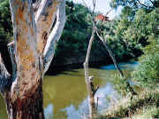 Maribyrnong River at Brimbank Park