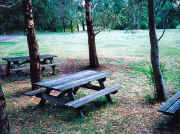Picnic tables at Brimbank Park