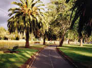 Maribyrnong River walking and cycling path, Riverside Park, Essendon