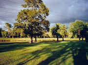 Picnic area, Riverside Park Essendon